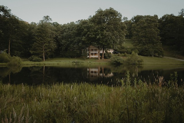 Ellen Acconcia Wrote About Longing For A Home