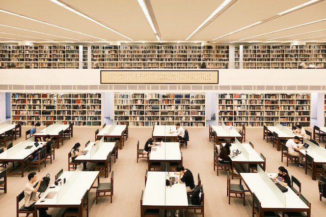 Katherine Prange Wrote An Essay About AI and Foundational Writing Skills